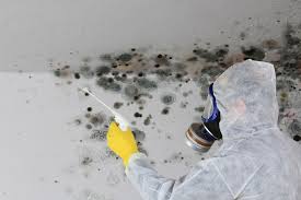 Mold Removal for HVAC Installations in Milton, WV